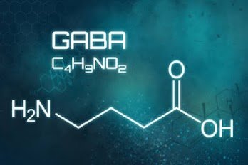 GABA